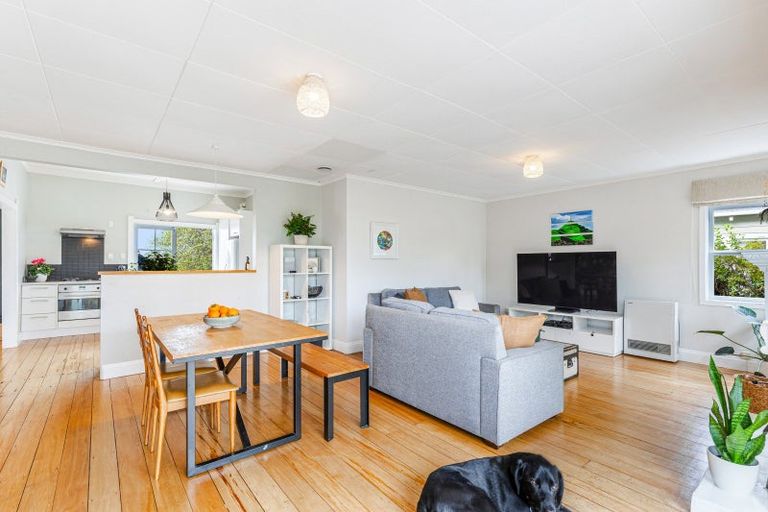 Photo of property in 41 Hanlon Crescent, Narrow Neck, Auckland, 0624