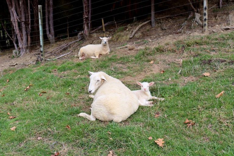 Photo of property in 26 Briggs Road, Onamalutu, Wairau Valley, 7275