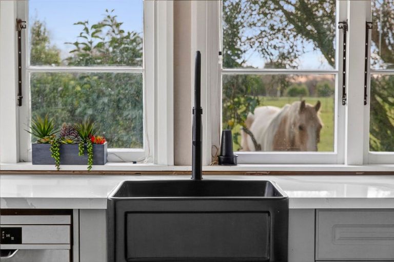 Photo of property in 203 Lamb Street, Leamington, Cambridge, 3432