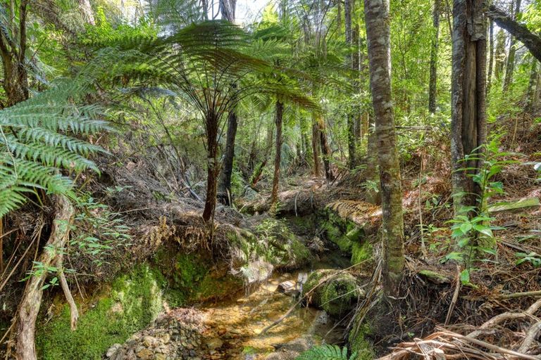 Photo of property in 103 Pebblebrooke Road, Mangawhai, Kaiwaka, 0573