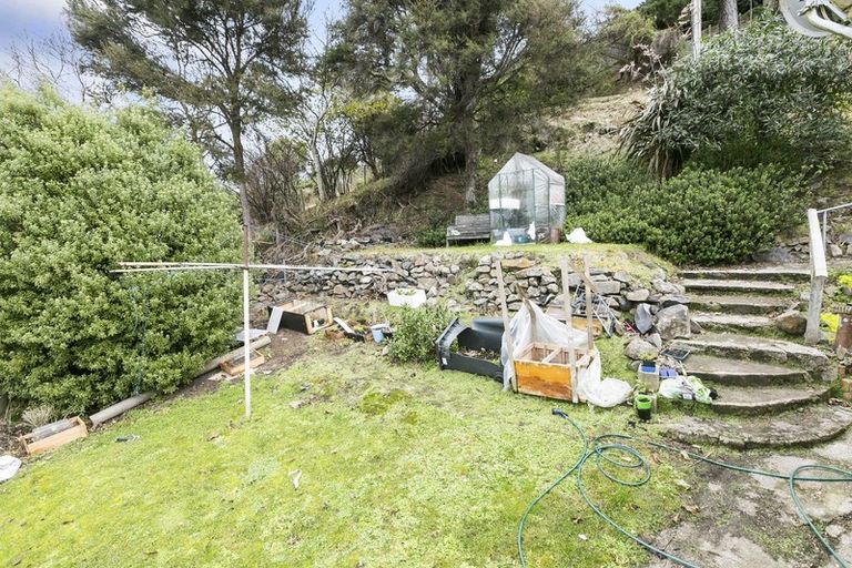 Photo of property in 51 Buccleugh Street, North East Valley, Dunedin, 9010