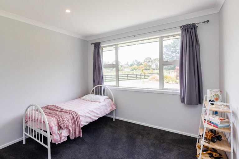 Photo of property in 21 Pukeko Road, Bunnythorpe, Feilding, 4775