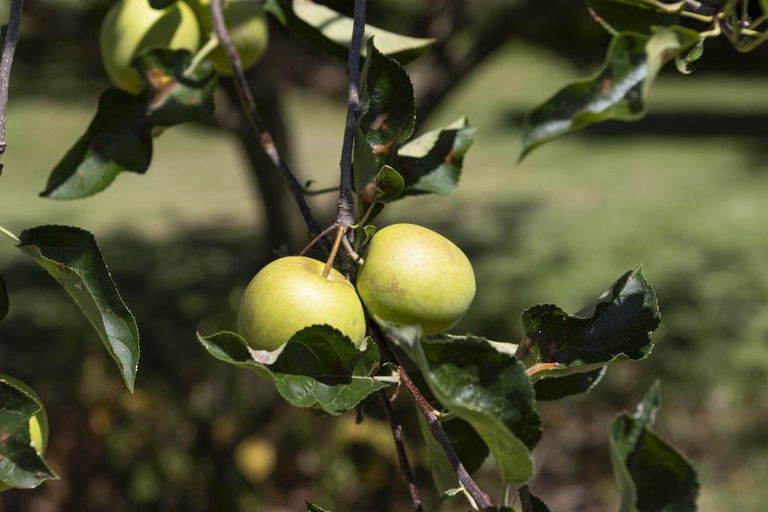 Photo of property in 810 Gill Road, Kaitaia, 0483