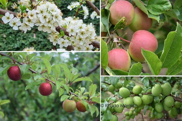 Photo of property in State Highway 12, Paparoa, Maungaturoto, 0583