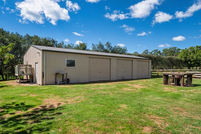 Photo of property in 597d Omanawa Road, Omanawa, Tauranga, 3171