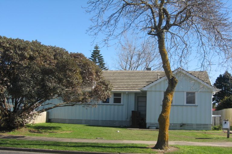 Photo of property in 8 Hinemoa Street, Levin, 5510