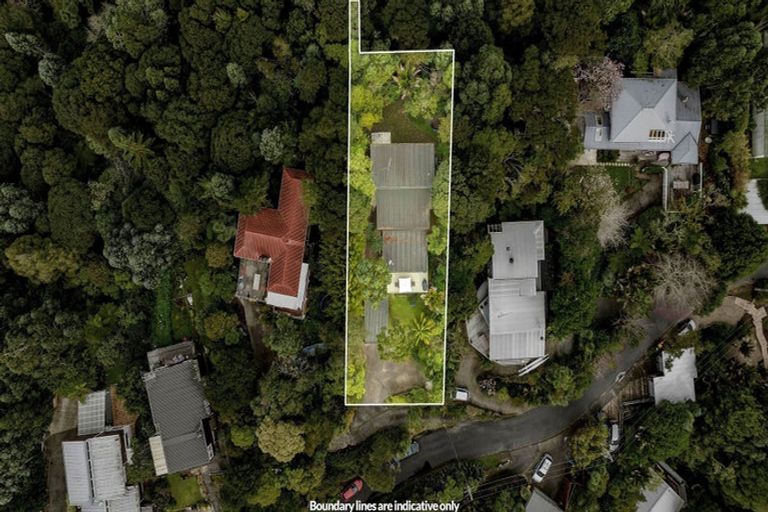 Photo of property in 11 Opou Road, Titirangi, Auckland, 0604