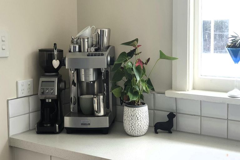 Photo of property in 29 Newton Street, Watlington, Timaru, 7910