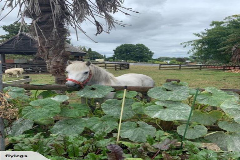 Photo of property in 13 Sheehan Street, Kihikihi, Te Awamutu, 3800