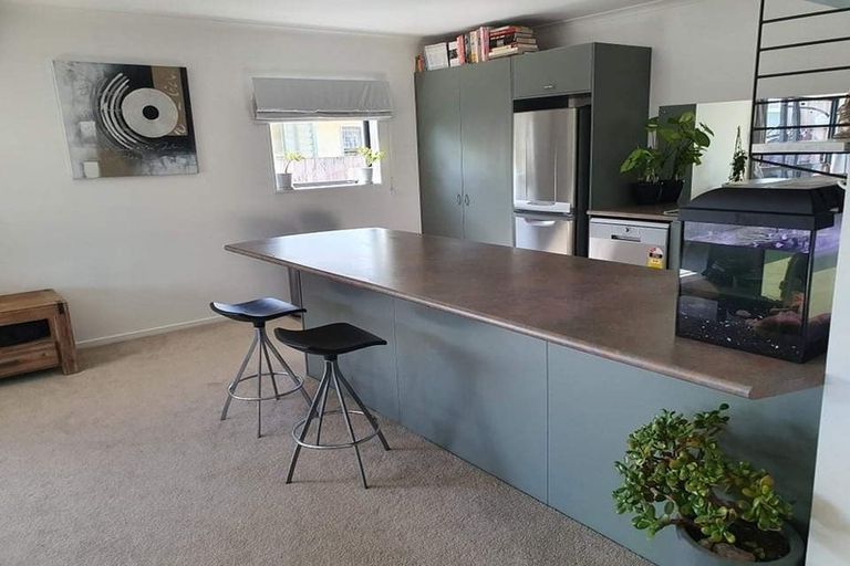 Photo of property in 52a Rangitahi Street, Otorohanga, 3900