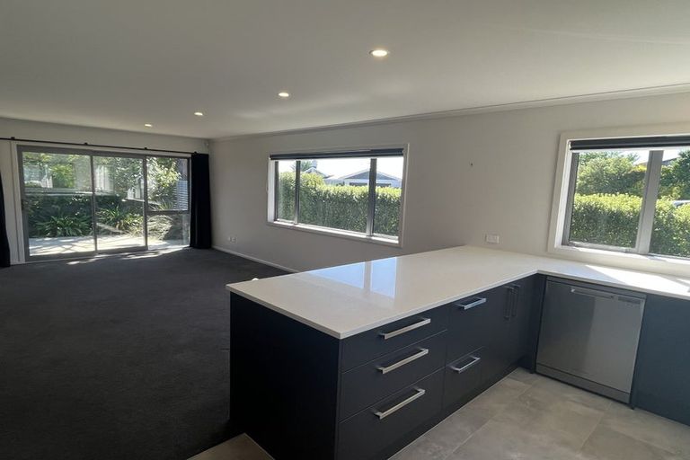 Photo of property in 10a Knowles Street, Terrace End, Palmerston North, 4410