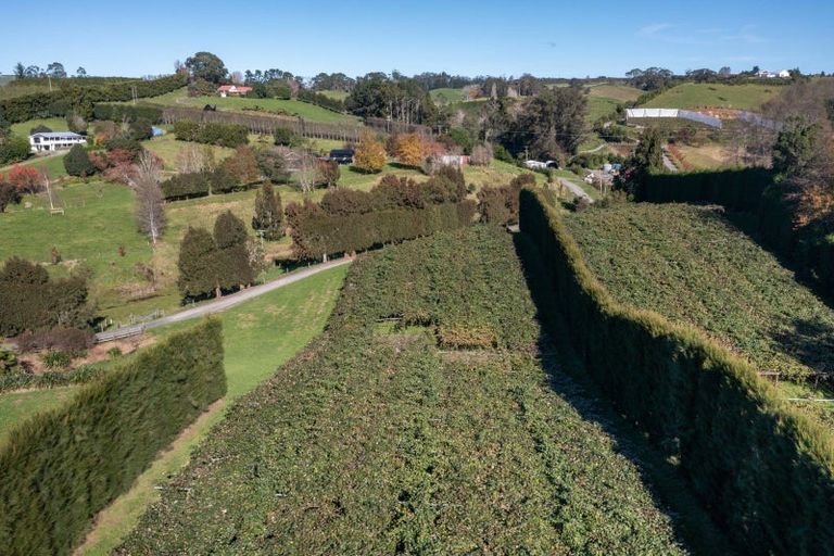 Photo of property in 394 Old Highway, Whakamarama, 3180