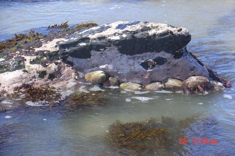 Photo of property in 9 Nunu Drive, Flat Point, Masterton, 5883