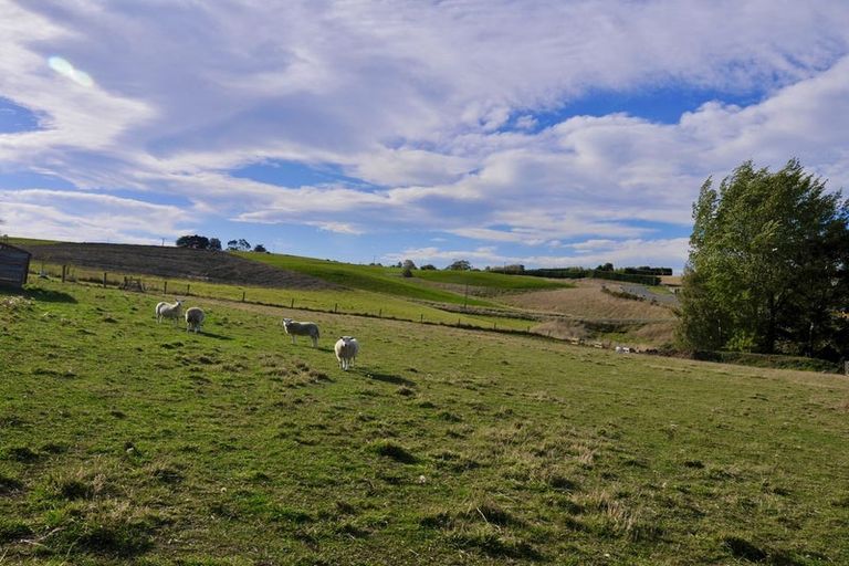 Photo of property in 48 Pukeko Lane, Waiareka Junction, Oamaru, 9491