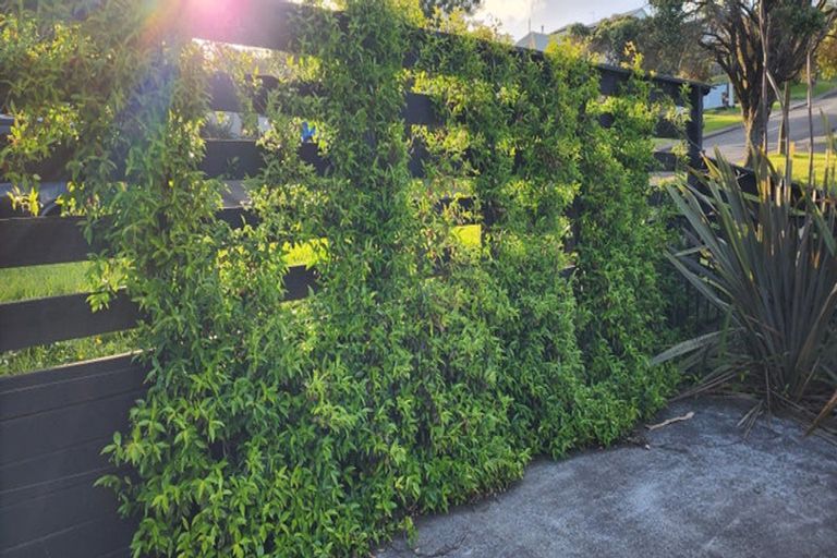 Photo of property in 22 Everard Avenue, Army Bay, Whangaparaoa, 0930