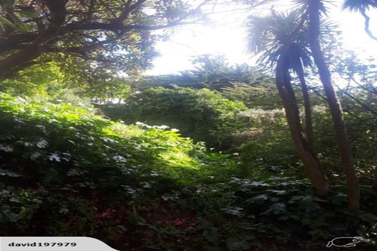 Photo of property in 8 Wilkinson Street, Oriental Bay, Wellington, 6011