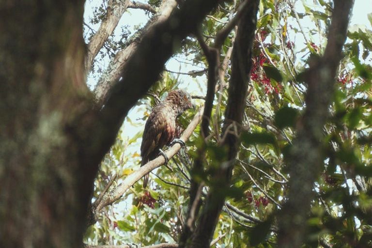 Photo of property in 629e Tara Road, Mangawhai, Kaiwaka, 0573