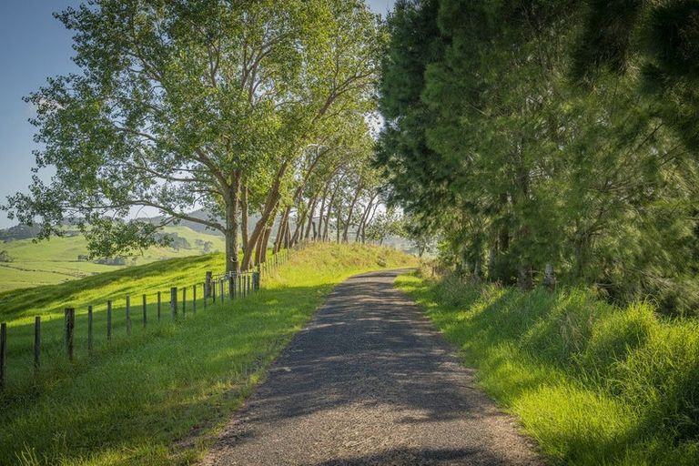 Photo of property in 89 Purangi Road, Purangi, Whitianga, 3591