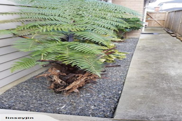 Photo of property in 9 Carrickdawson Drive, Flat Bush, Auckland, 2019