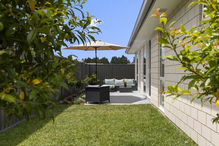 Photo of property in 17 Flack Street, Pyes Pa, Tauranga, 3112