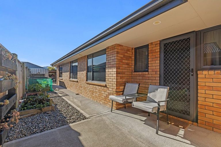 Photo of property in 14 Wilson Street, Renwick, 7204