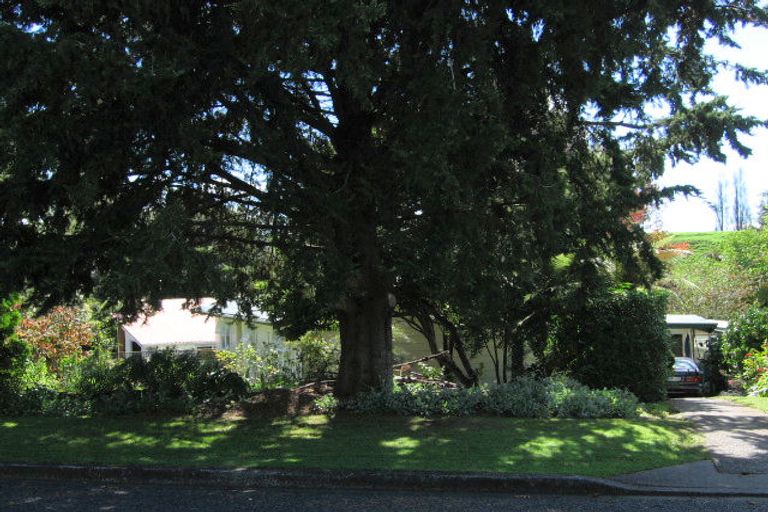 Photo of property in 32 Galway Crescent, Putaruru, 3411