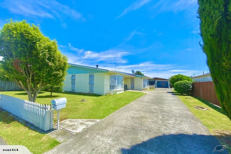 Photo of property in 53 Featherston Street, Levin, 5510