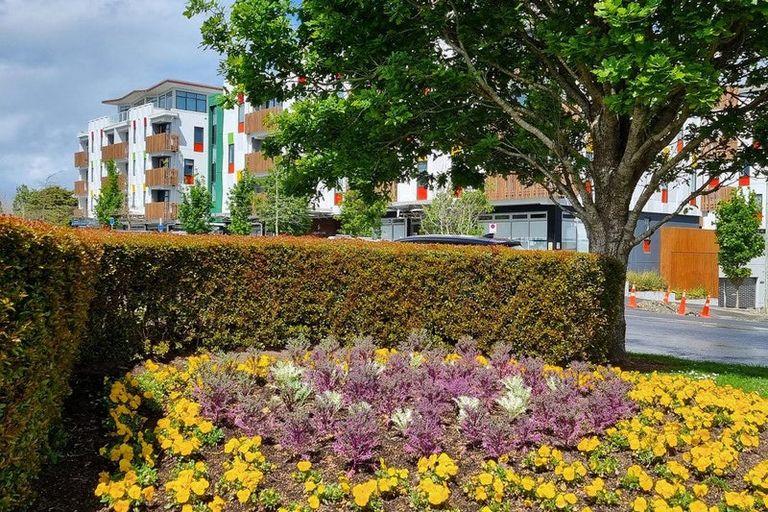 Photo of property in 101/26 Library Lane, Albany, Auckland, 0632