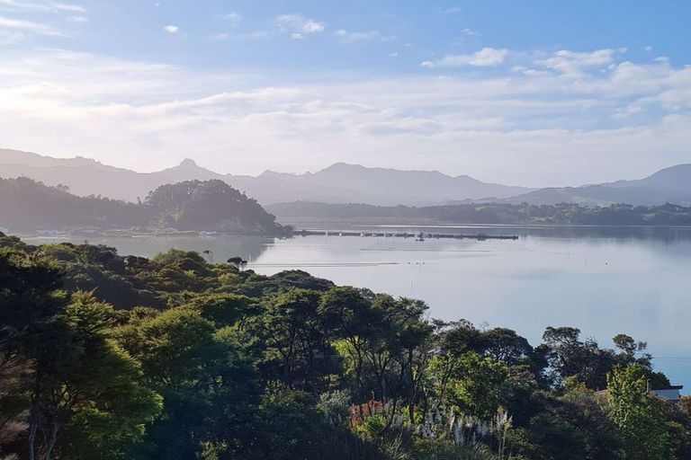 Photo of property in 618 Wyuna Bay Road, Wyuna Bay, Coromandel, 3581