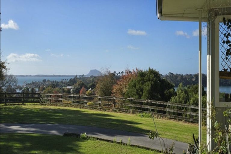 Photo of property in 195 Plummers Point Road, Whakamarama, Tauranga, 3172