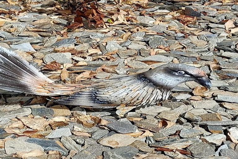 Photo of property in 2 Church Hill Road, Green Island, Dunedin, 9018