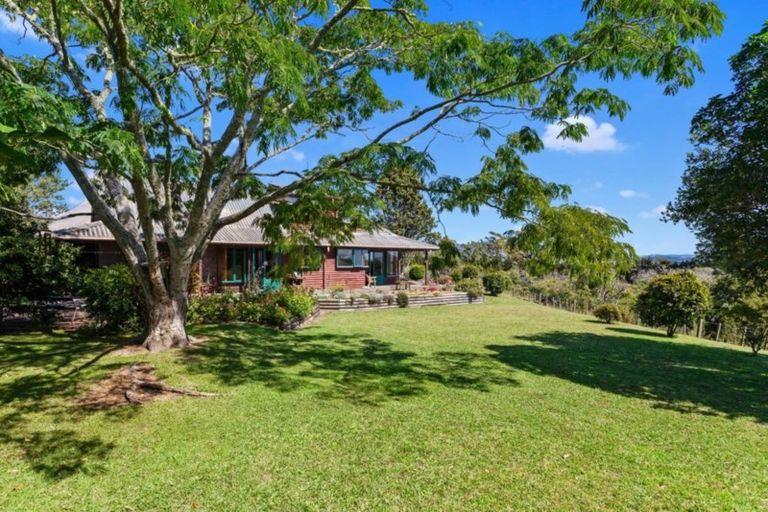 Photo of property in 306 Tablelands Road, Tirohanga, Opotiki, 3197