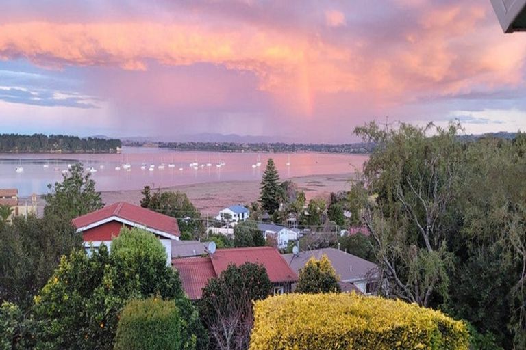 Photo of property in 53 Coppelia Avenue, Omokoroa, 3114