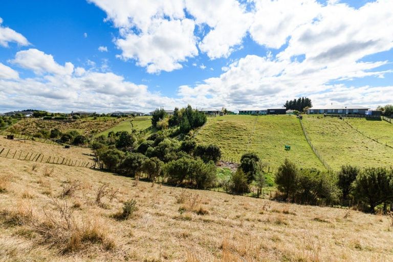 Photo of property in 14 Fallow Avenue, Feilding, 4775