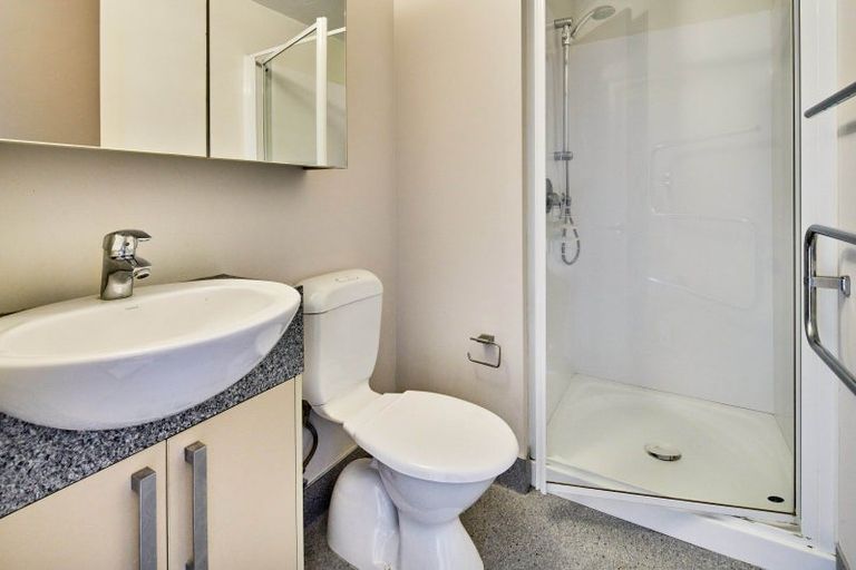 Photo of property in Dual Apartments, 510/142 Vivian Street, Te Aro, Wellington, 6011