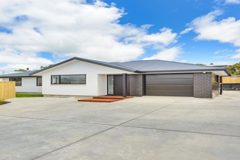 Photo of property in 154a Lethbridge Street, Feilding, 4702