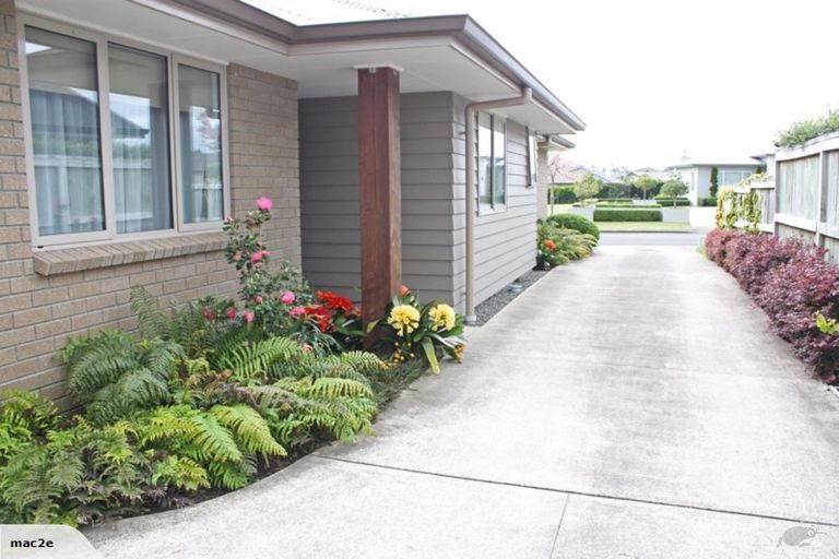 Photo of property in 31 Mortlake Heights, Pyes Pa, Tauranga, 3112