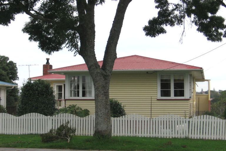 Photo of property in 53 Buscomb Avenue, Henderson, Auckland, 0610