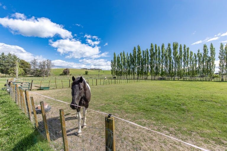 Photo of property in 471 Porangahau Road, Waipukurau, 4282