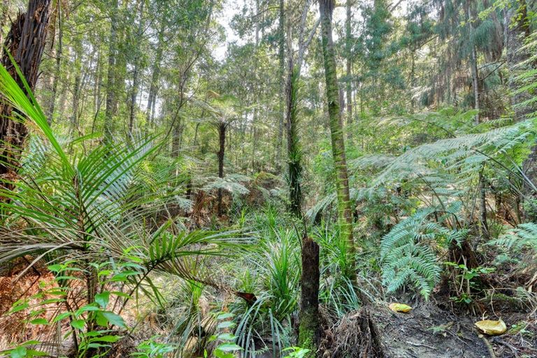 Photo of property in 103 Pebblebrooke Road, Mangawhai, Kaiwaka, 0573