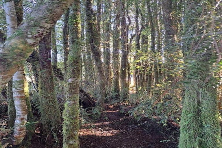 Photo of property in 769b Rutherglen Road, Marsden, Greymouth, 7872
