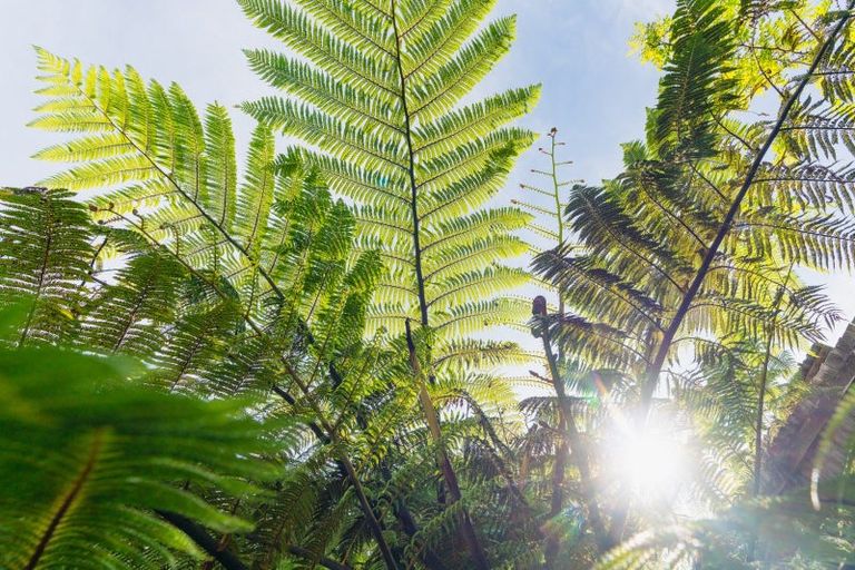 Photo of property in 16 Saint John Street, Aro Valley, Wellington, 6011