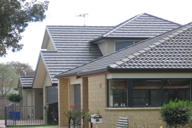 Photo of property in 77 Grace Road, Tauranga South, Tauranga, 3112