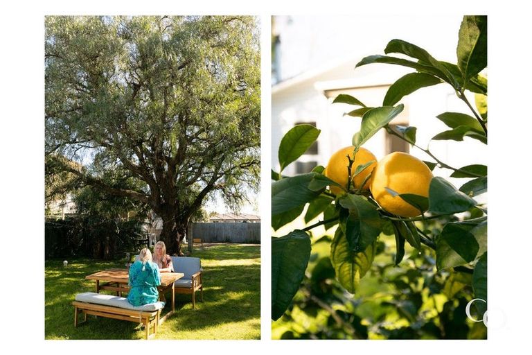 Photo of property in 8 Tomoana Road, Mahora, Hastings, 4120