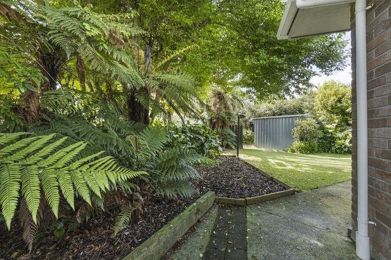 Photo of property in 14 Wrigley Place, Matamata, 3400