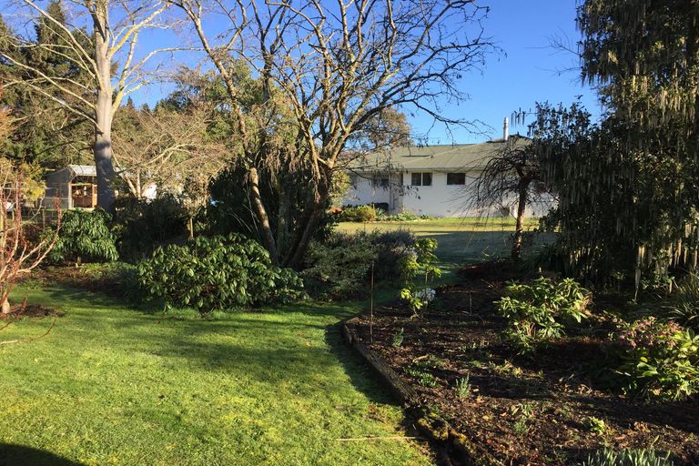 Photo of property in 77 Mill Road, Waimate, 7924