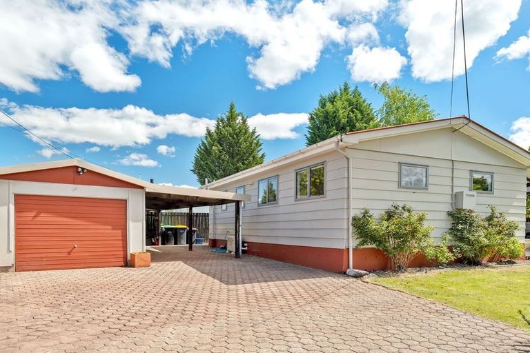 Photo of property in 17 Godley Street, Twizel, 7901