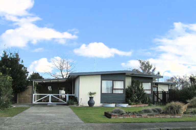 Photo of property in 505 Poplar Place, Akina, Hastings, 4122