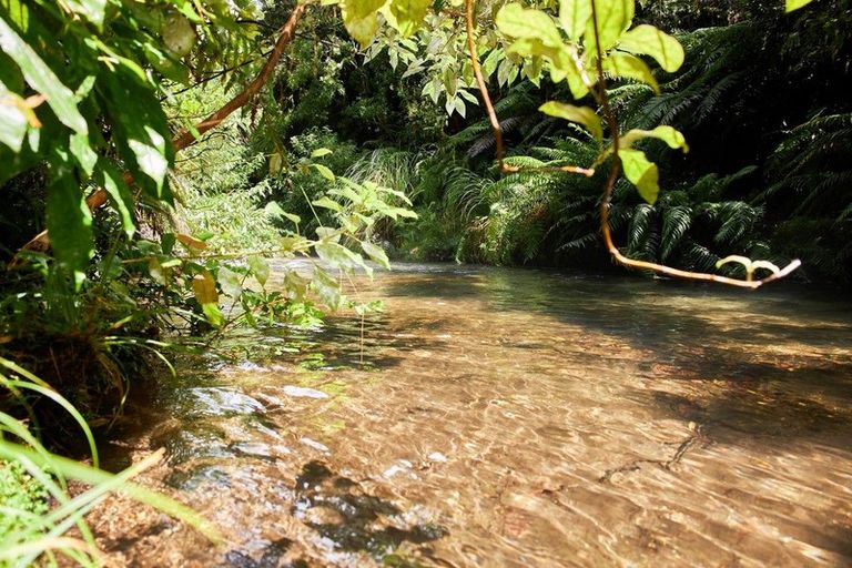 Photo of property in 52c Williams Road South, Pyes Pa, Tauranga, 3173