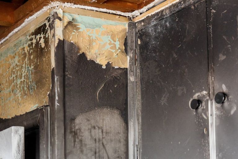 Photo of property in 155 Peachgrove Road, Hamilton East, Hamilton, 3216